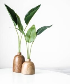 Plantes et accessoires